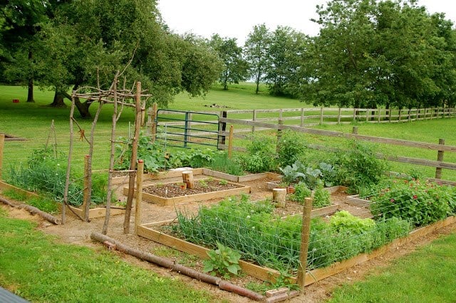 10 DIY Vegetable Garden Ideas for Raised Garden Beds and Trellises
